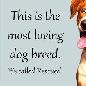 Rescue your next new best friend!!
